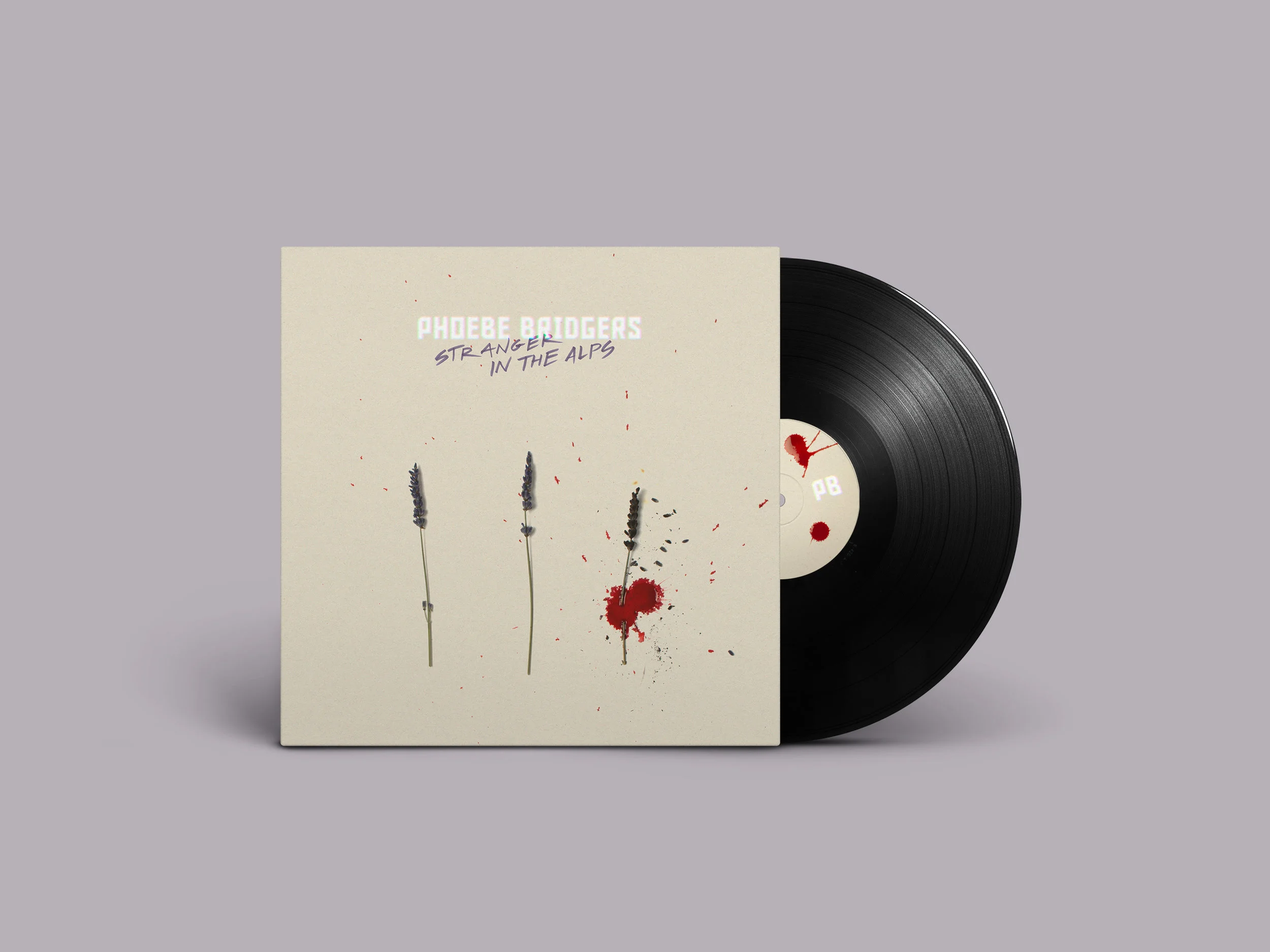 Phoebe Bridgers Vinyl — amy sil mil design